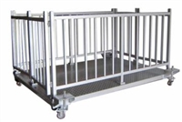 Cattle scale with Cage