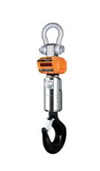 CAS 60,000 lb crane scale