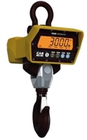 CAS 5,000 lb wireless crane scale