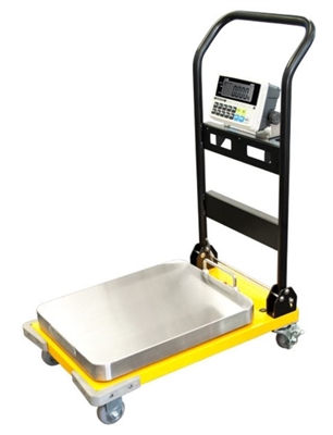 300 lb x  0.1 lb Portable Digital Utility Scale
