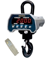 CAS 5000 lb crane scale
