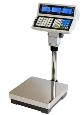 300 lb dual range bench scale