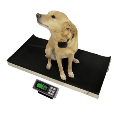 700lb Animal Weighing Scale